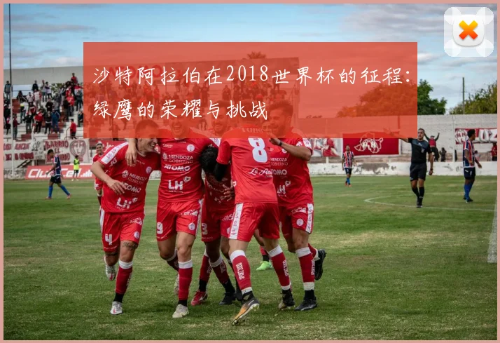 沙特阿拉伯在2018世界杯的征程：绿鹰的荣耀与挑战