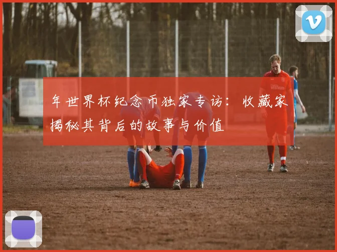 年世界杯纪念币独家专访:收藏家揭秘其背后的故事与价值