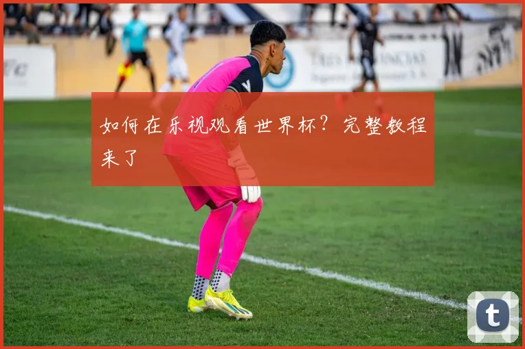 如何在乐视观看世界杯？完整教程来了