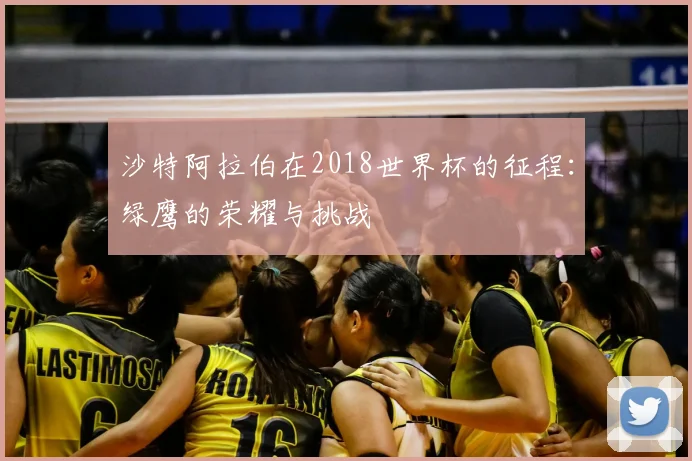 沙特阿拉伯在2018世界杯的征程：绿鹰的荣耀与挑战