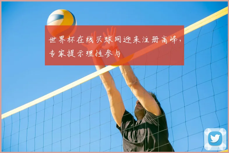 世界杯在线买球网迎来注册高峰,专家提示理性参与